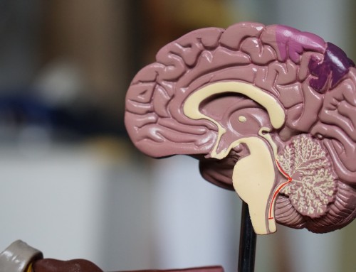 The Psychology of Hiring – How to Find and Keep the Employees that Fit Your Business