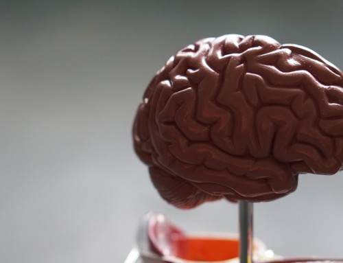 Psychology in Hiring: Building a Strong Team From the Inside Out